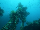 tulamben (42)